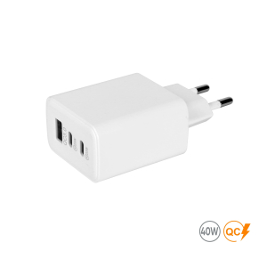 Мережевий зарядний пристрій 40W Real, TM TEG